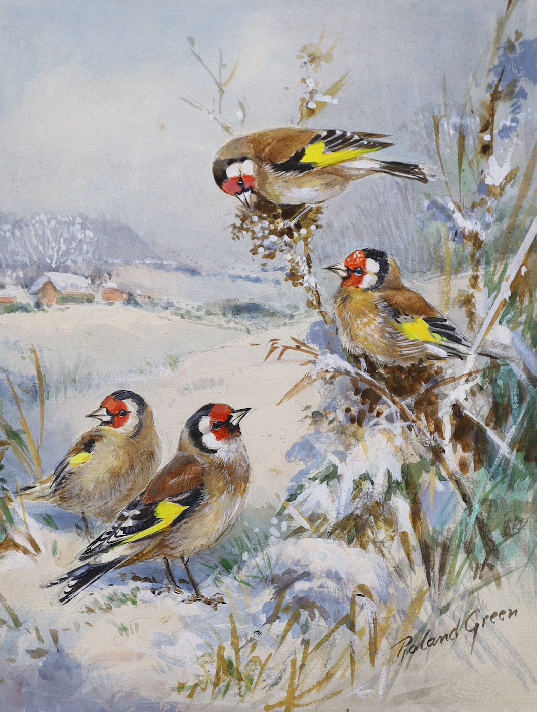 Roland Green (1890-1972), four watercolours, garden birds, signed, unframed, largest 28 x 23cm